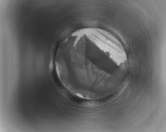 X0000102540069200809051541