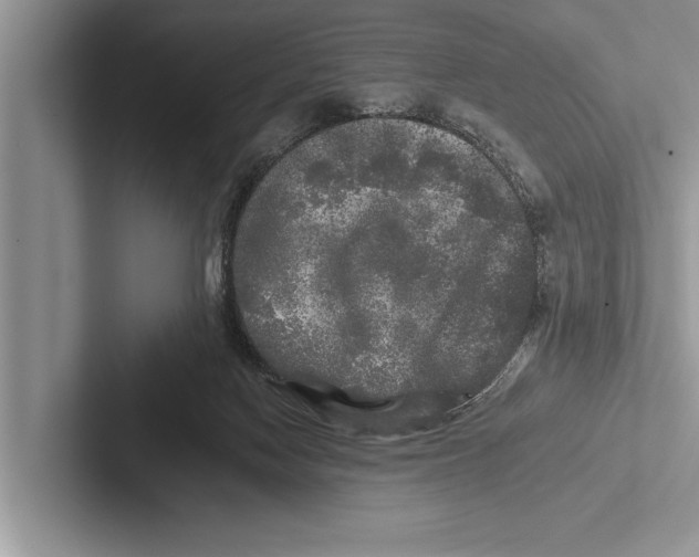 X0000102540074200809051541