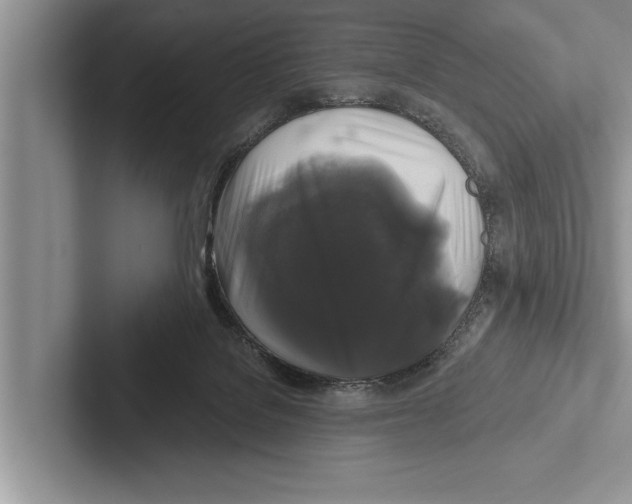 X0000102540076200809051541