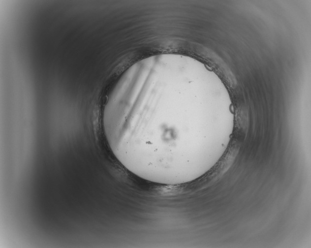X0000102540092200809051542