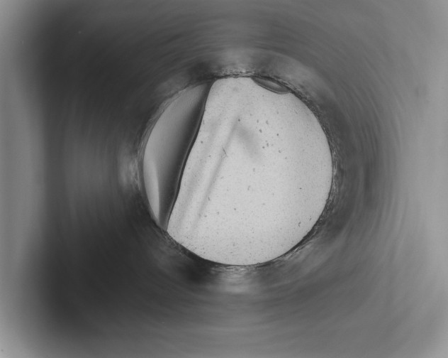 X0000102540096200809051542