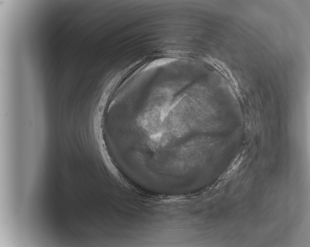 X0000102540097200809051541