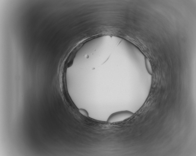 X0000102540098200809051541