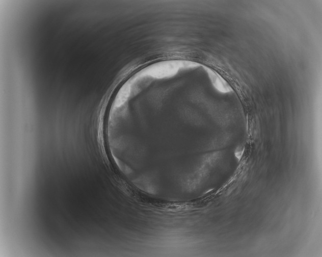 X0000102540099200809051541