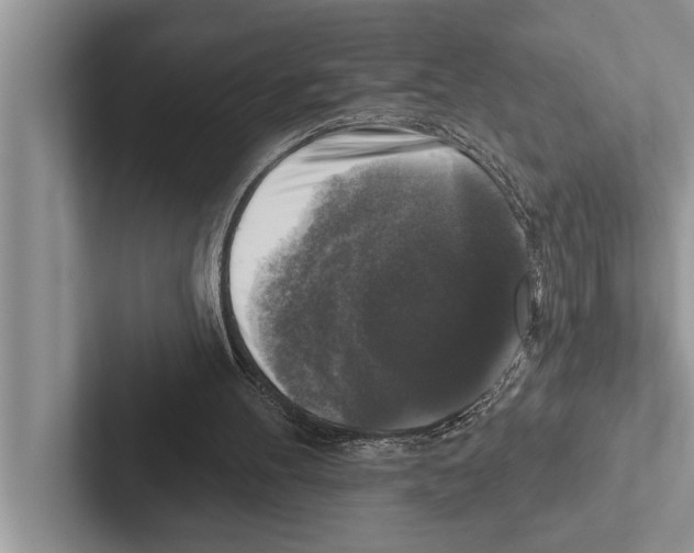 X0000102540100200809051541