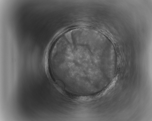 X0000102540101200809051541