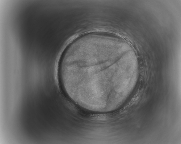 X0000102540104200809051541