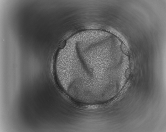 X0000102540105200809051541