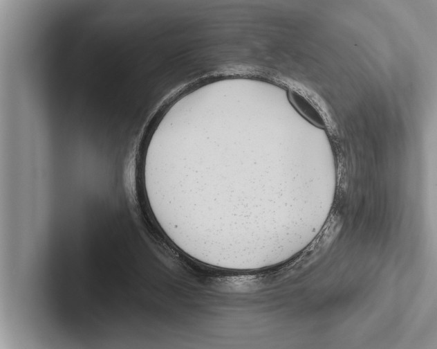 X0000102540108200809051541
