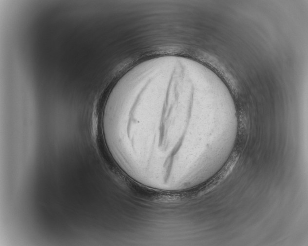 X0000102540110200809051541