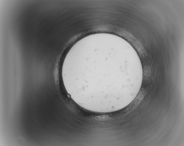 X0000102540112200809051541