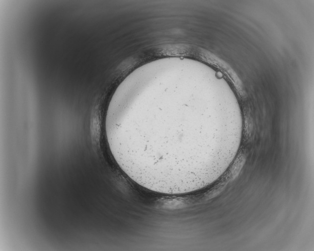 X0000102540113200809051541