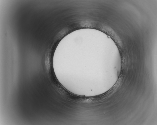 X0000102540116200809051541