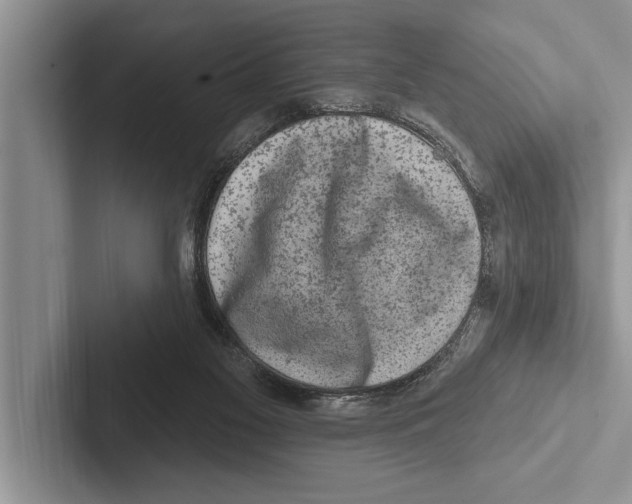 X0000102540117200809051541