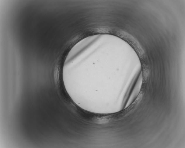 X0000102540120200809051541