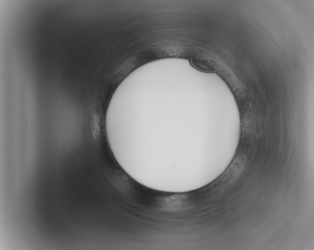 X0000102540122200809051541