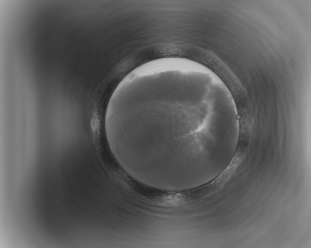 X0000102540124200809051541