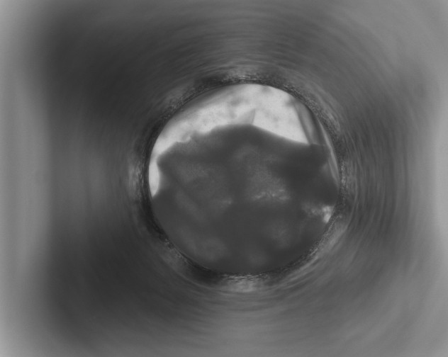 X0000102540127200809051541