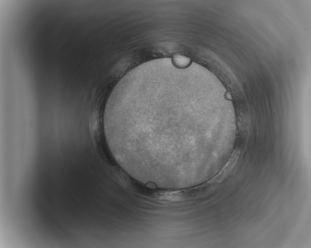 X0000102540132200809051540