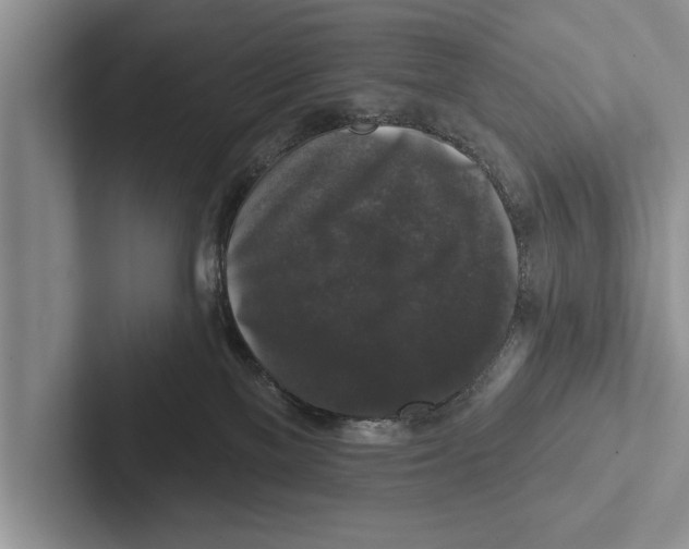 X0000102540137200809051540