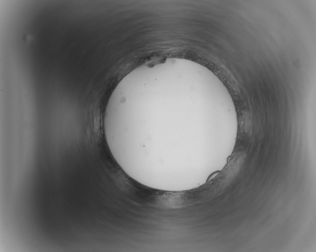 X0000102540138200809051540