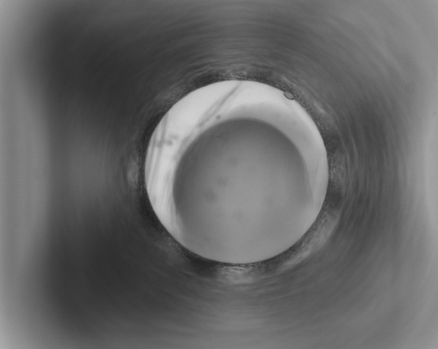 X0000102540139200809051540