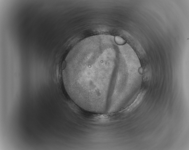 X0000102540140200809051540