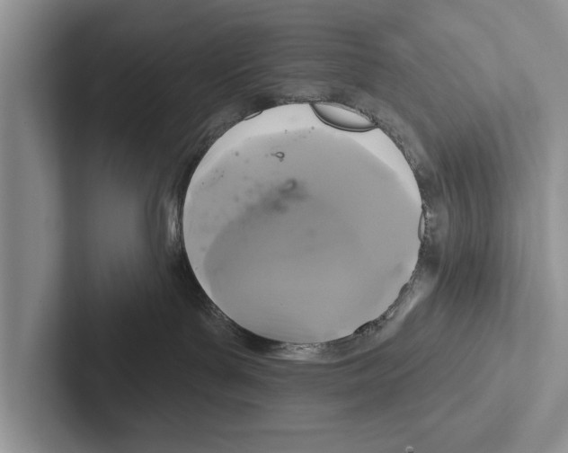X0000102540143200809051540