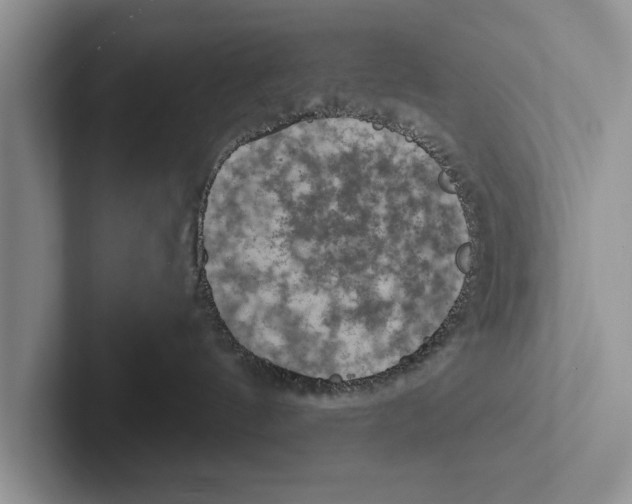 X0000102540144200809051540