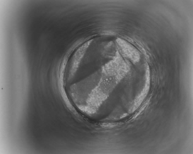 X0000102540145200809051540