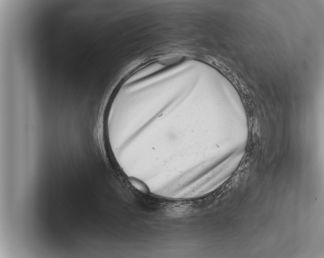 X0000102540148200809051540
