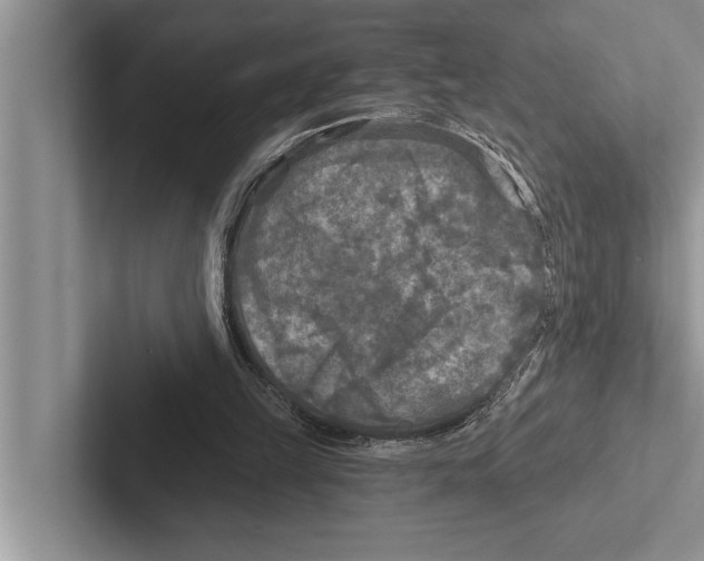 X0000102540149200809051540