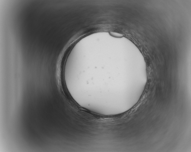X0000102540150200809051540