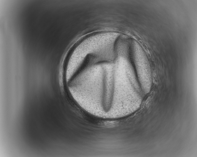 X0000102540152200809051540