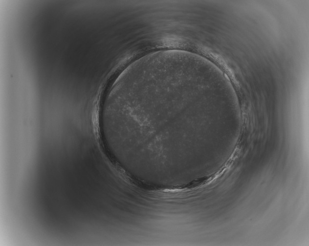 X0000102540154200809051540