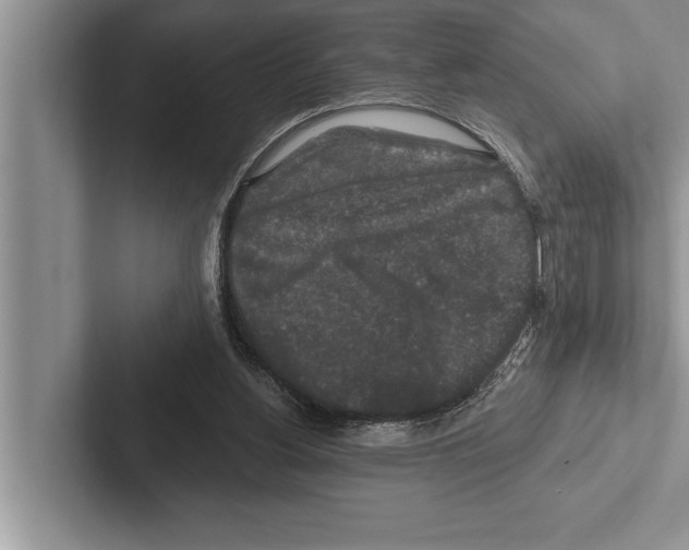 X0000102540156200809051540