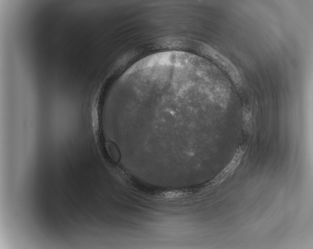 X0000102540158200809051540