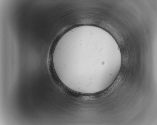 X0000102540160200809051540