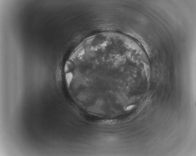 X0000102540161200809051540