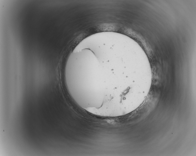 X0000102540162200809051540