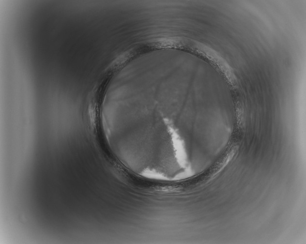 X0000102540165200809051540