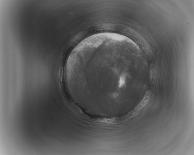 X0000102540168200809051540