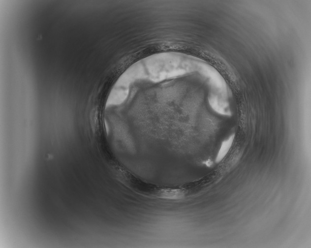 X0000102540169200809051540
