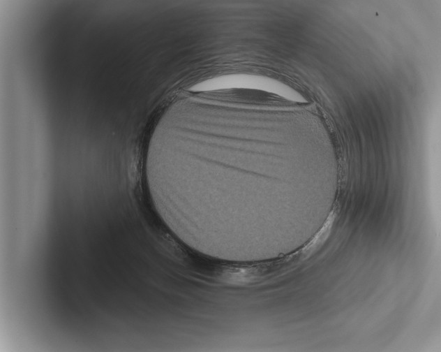 X0000102540174200809051540