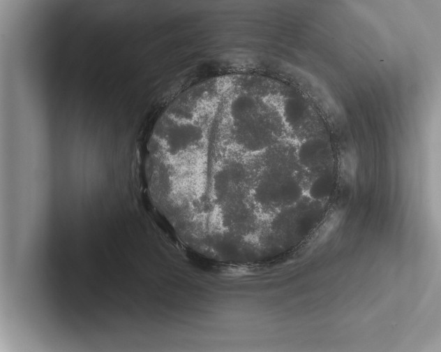X0000102540177200809051540