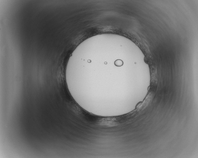 X0000102540179200809051540