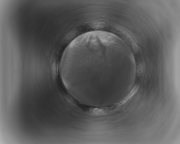 X0000102540180200809051540