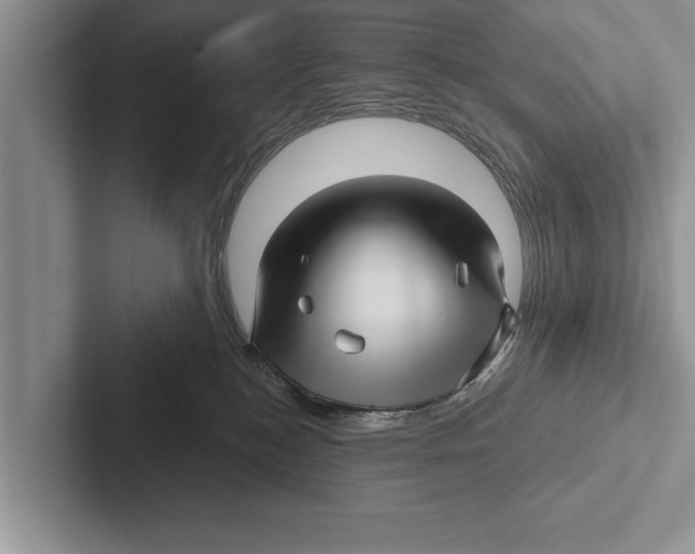 X0000102540184200809051540