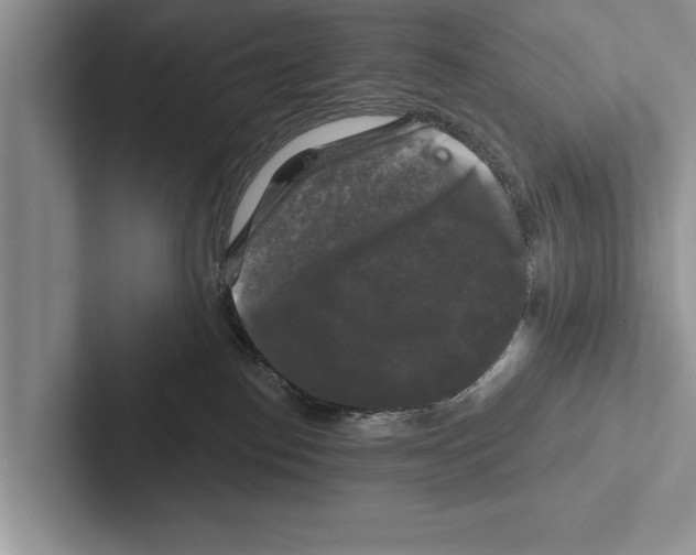 X0000102540186200809051540