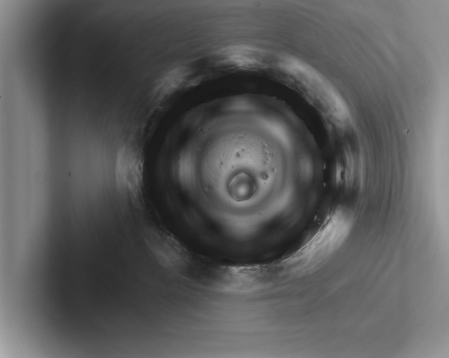 X0000102540188200809051540